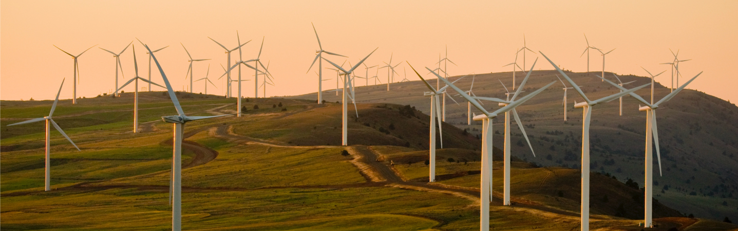 Wind turbines in field